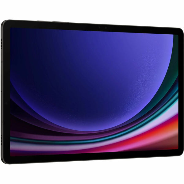 Samsung Galaxy Tab S9 SM-X710 Tablet - 11 WQXGA - Qualcomm SM8550-AC Octa-core - 12 GB - 256 GB SSD - Android 13 - Graphite - SM-X710NZAEXAR