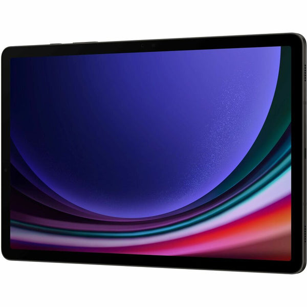 Samsung Galaxy Tab S9 SM-X710 Tablet - 11 WQXGA - Qualcomm SM8550-AC Octa-core - 12 GB - 256 GB SSD - Android 13 - Graphite - SM-X710NZAEXAR