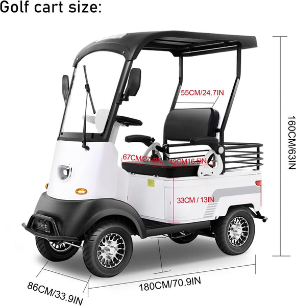 2 Passenger Electric Golf Cart -Electric Golf Scooters for Adults,Electric Push Golf Cart Suitable for Golf,Beach,Farm Load,Courtesy Car