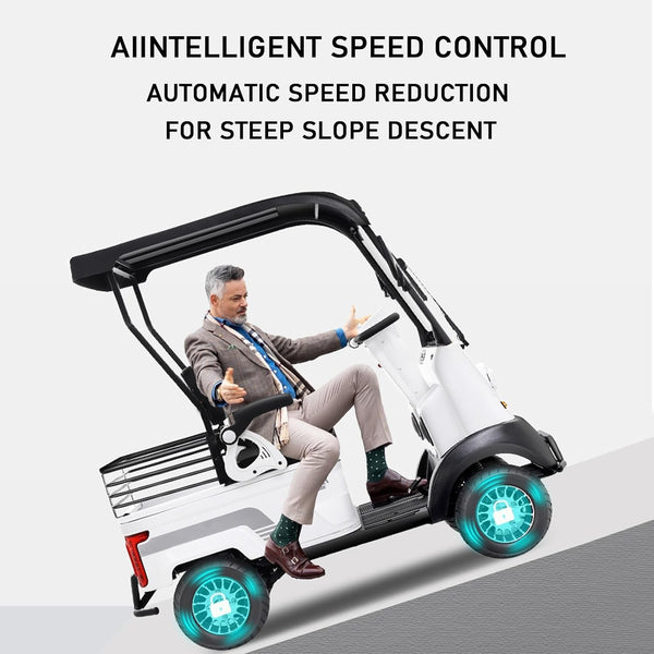 2 Passenger Electric Golf Cart -Electric Golf Scooters for Adults,Electric Push Golf Cart Suitable for Golf,Beach,Farm Load,Courtesy Car