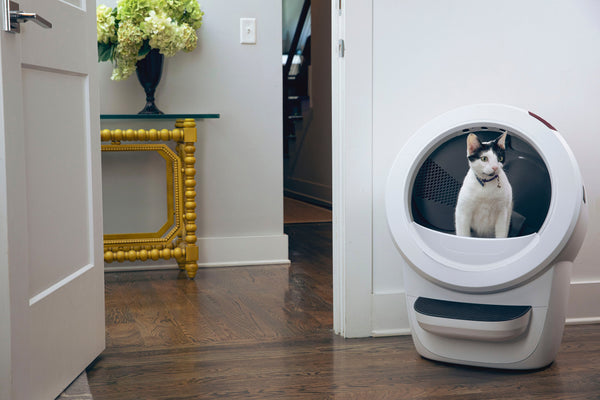 Whisker - Litter-Robot 4 Smart App-Controlled Self-Cleaning Litter Box Core Accessories Bundle - White -
